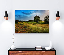 Obraz Rodná zem zs1254